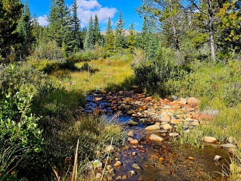 Day, Natural landscape, River view