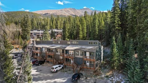 Cozy 3BR in Mt Baldy Sleeps 10 Close to Breck House in Breckenridge