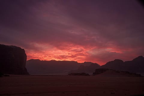 Wadi Rum Desert Life - Camp & Tours Luxury tent in South District