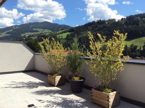 Appartementhaus Evelyn Apartment in Schladming