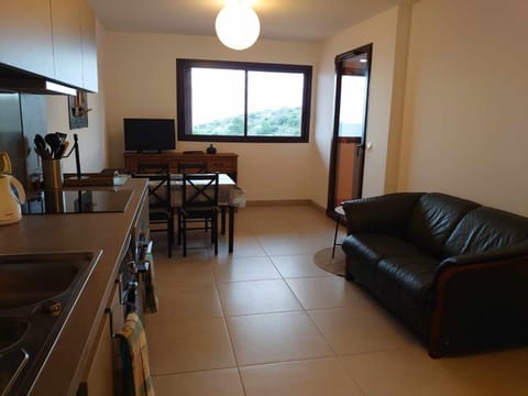 TV and multimedia, Balcony/Terrace, Kitchen or kitchenette, Living room