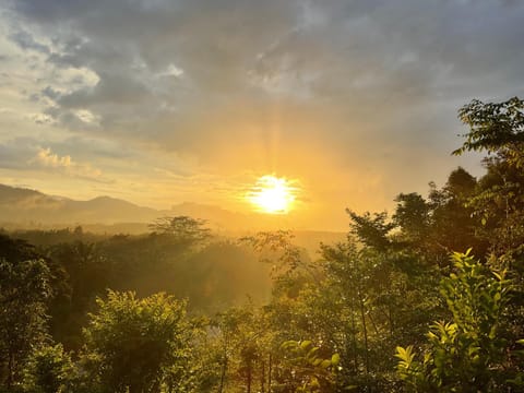 Khao Sok Horizon Resort in Khlong Sok