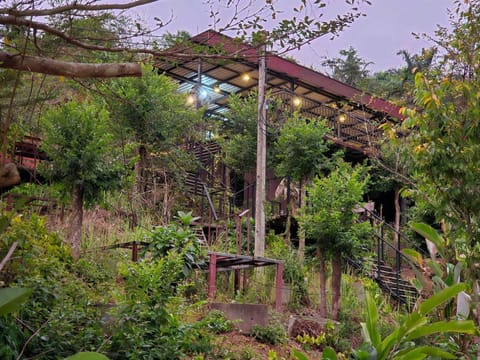 Khao Sok Horizon Resort in Khlong Sok