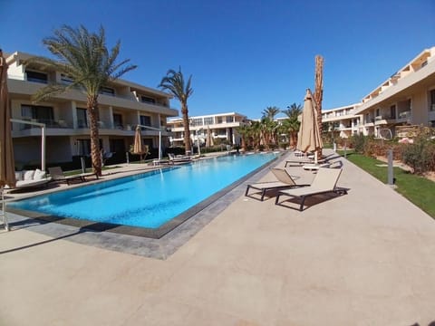 Pool view, Swimming pool, sunbed