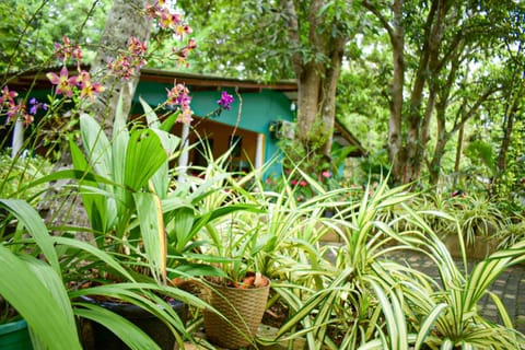 Property building, Garden, Garden view, Garden view