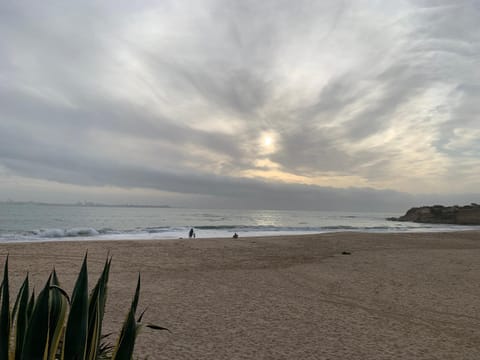 Nearby landmark, Beach, Sea view