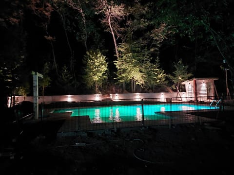 Night, Garden, Garden view, Pool view, Swimming pool