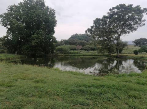 Spring, Day, Natural landscape, River view