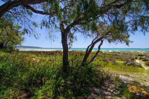 Mint Haus, stylish coastal retreat House in Dunsborough