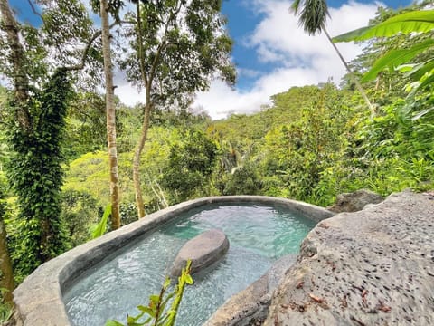 Royal Kemala Villa - Jungle View with Private Pool Villa in Tampaksiring
