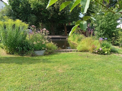 Garden, Garden view