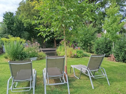 Garden, Garden view, sunbed