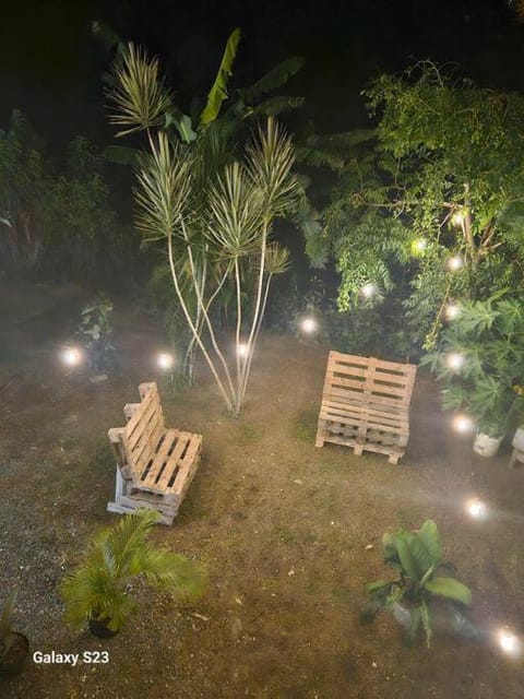 Night, Garden, Garden view