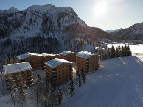 Property building, Natural landscape, Winter, Mountain view