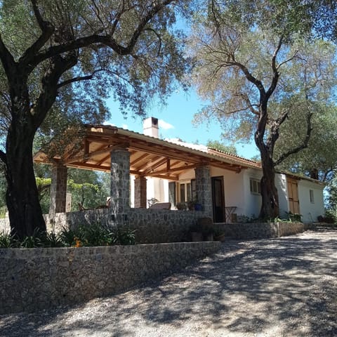 Property building, Day, Garden view