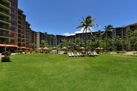 Kaanapali Shores 159 Apartment in Kaanapali