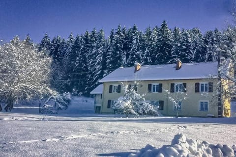 Property building, Natural landscape, Winter