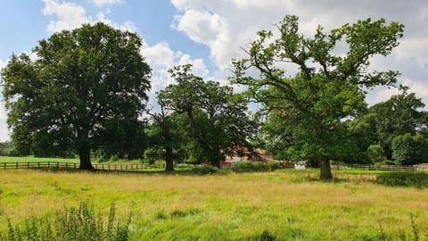 The Garden Cottage House in Broadland District