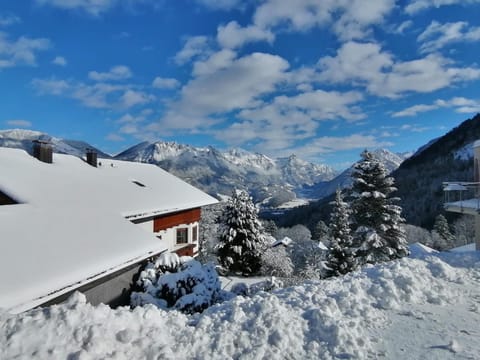 Winter, Mountain view