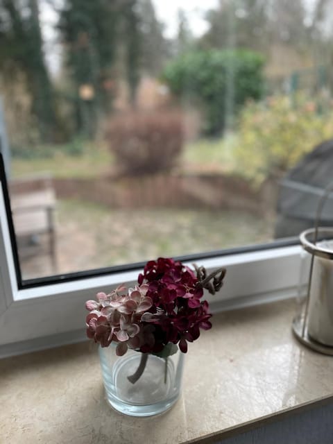 Living room, Garden view