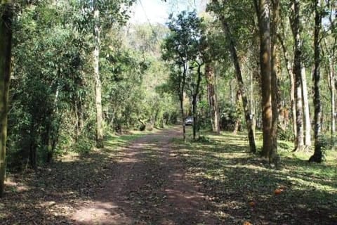 Cabañas El Palmar reserva natural Apartment in Misiones Province, Argentina