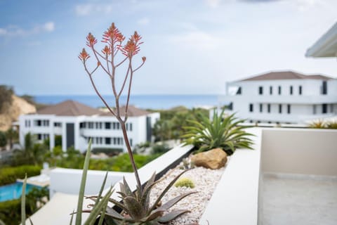 Garden, Balcony/Terrace, Sea view