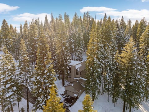 Natural landscape, Winter, Mountain view