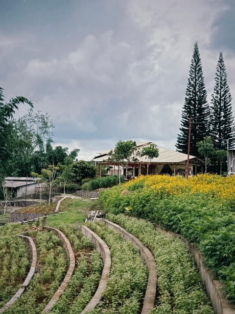 Thông Vi Vu Glamping House in Lâm Đồng