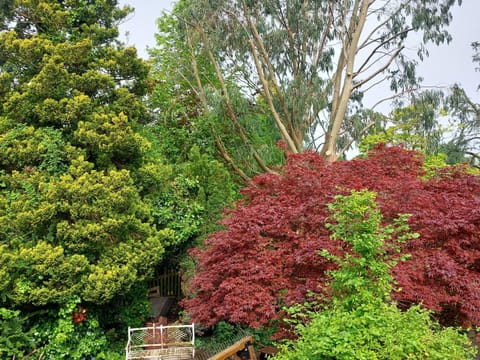 Natural landscape, Garden view