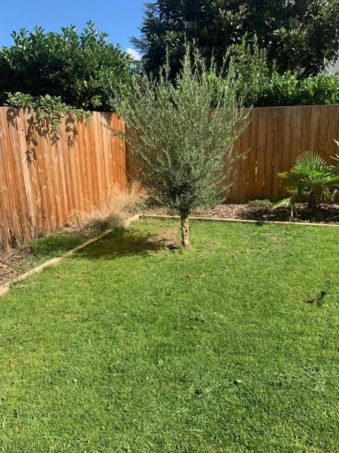 Garden, Garden, Garden view