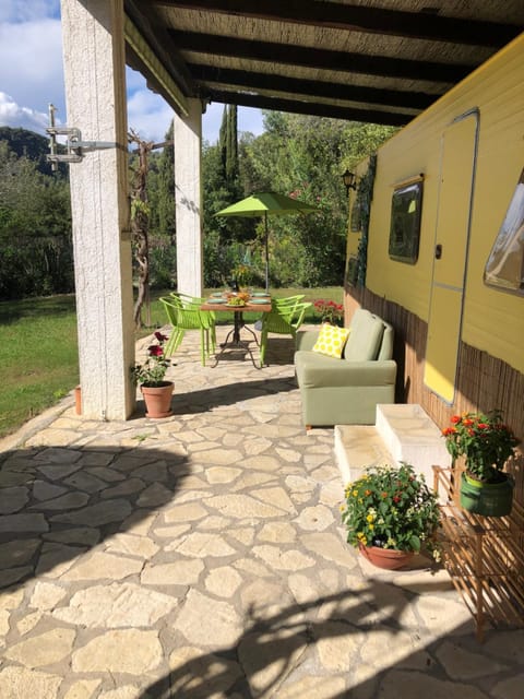 Patio, Garden, Garden view