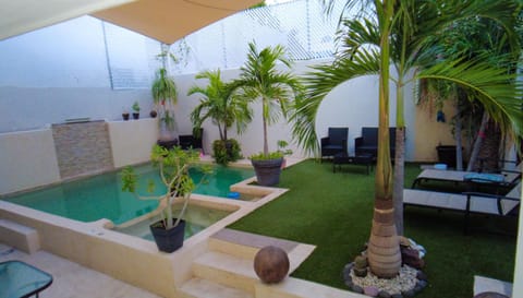 Garden, Swimming pool