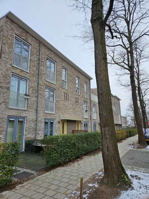 Property building, Day, Neighbourhood, Winter, Street view