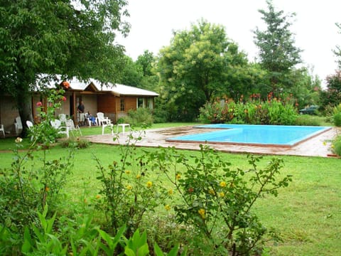 Garden, Pool view, Swimming pool