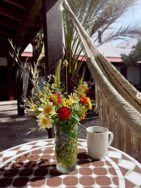 Patio, Day, sunbed