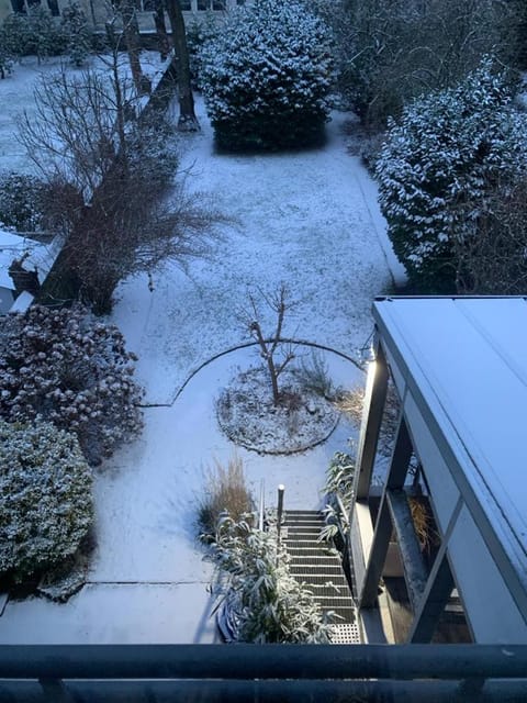 Winter, Garden, Garden view