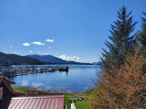 Oceanfront Apartment w/ water access Apartment in Juneau