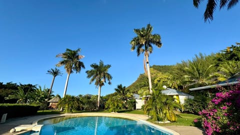 Day, Garden view, Pool view, Swimming pool, sunbed