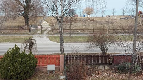 Garden, Lake view, Street view