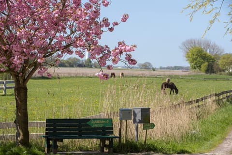 Natural landscape