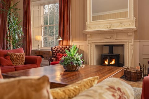 Communal lounge/ TV room, fireplace, fireplace