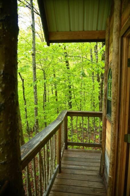 Maine Woods Treehouse-The Birdie House in Lovell