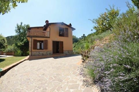 Ferienhaus mit Privatpool für 8 Personen ca 120 qm in Capannori, Toskana Provinz Lucca House in Capannori