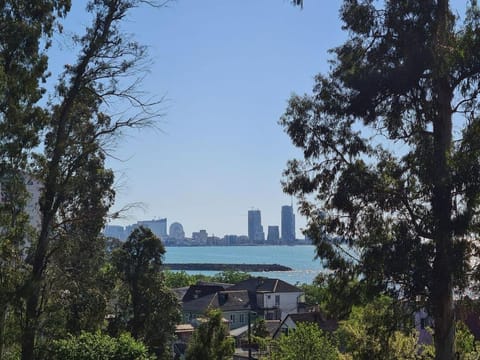 Natural landscape, City view, Sea view