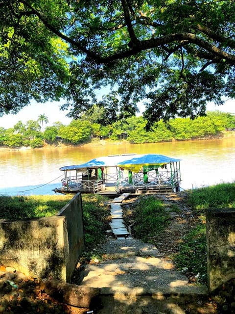 Natural landscape, River view