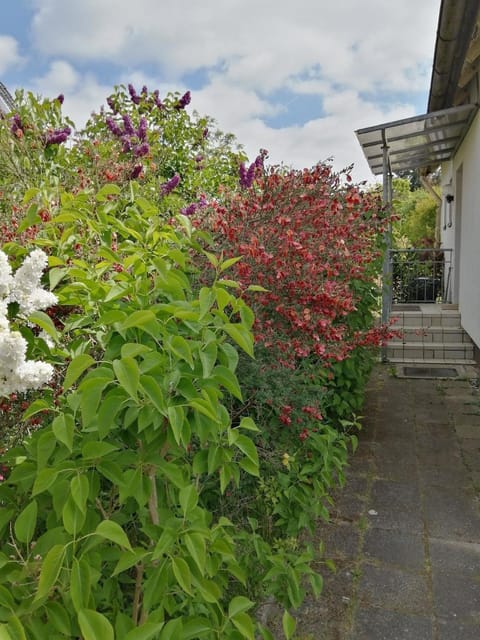 Freistehendes Ferienhaus in Adendorf mit Terrasse, Grill und Garten - b48664 House in Lüneburg