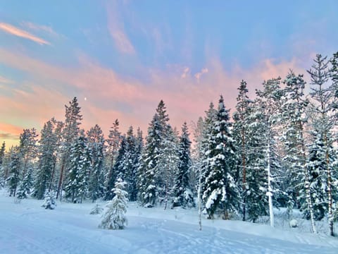 Day, Natural landscape, Winter