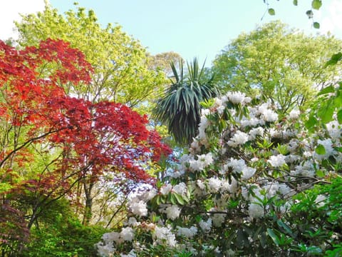 Property building, Garden