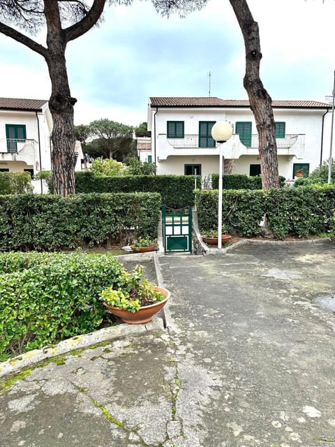 Property building, Garden view