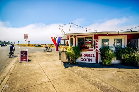 The Turtle's Nest House in Waldport